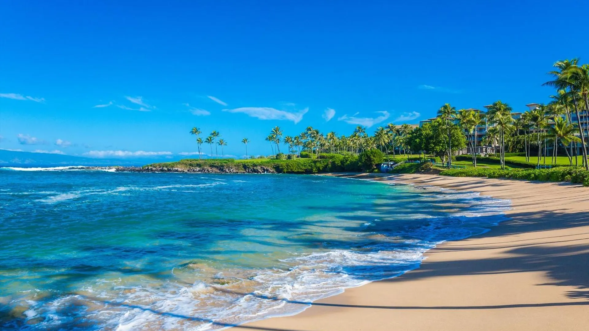 Redecorated! Like-New Oceanview 3 Brsleeper Den 3,5 Ba Montage Kapalua Grand Residence Sleeps 8! 0*,  美国